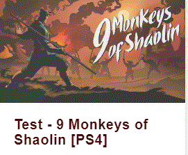 Pochette du jeu vidéo « 9 Monkeys of Shaolin »